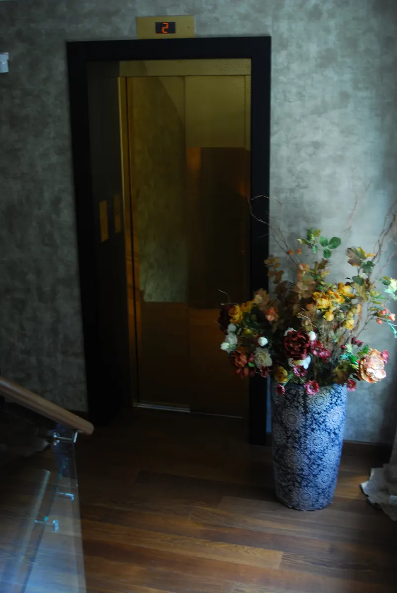 Baltalimanı Villa – Residential interior, Istanbul, Turkey (photo 3)